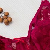 Close-up of red lace on the cup of a bra
